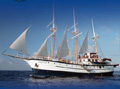 Sagitta Galapagos Sailing Cruise official website