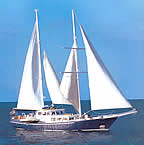 Beagle Motor Sailing Galapagos Cruise official website