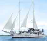 Cachalote Galapagos Cruise official website