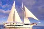 Diamante Galapagos Sailing Cruise official website