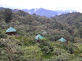 Urcu Puyujunda Cloud forest Lodge at Mindo