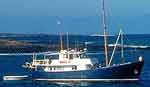 Samba Galapagos motor yacht cruise official website